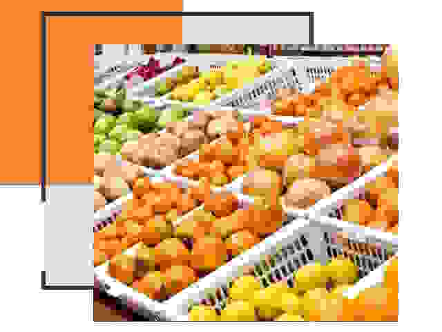 Надежная перевозка продуктов в Фрязино