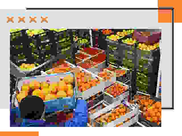 Перевозка скоропортящихся продуктов в Фрязино